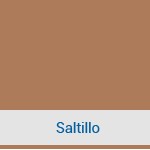 saltillo concrete color by regional concrete of rochester ny